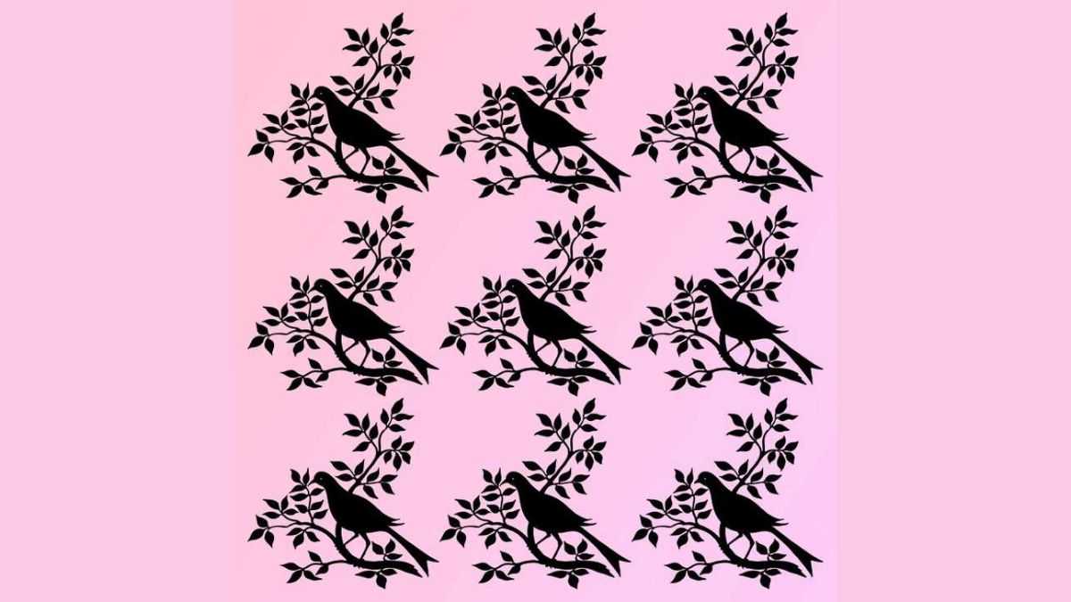 Optical Illusion IQ Test: Find the different bird in 5 seconds!