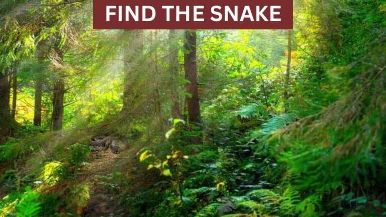 Optical Illusion: Where’s The Snake? Can You Find The Snake In 6 Seconds?