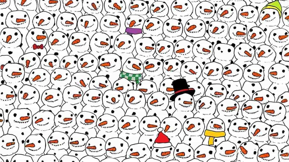 Optical Illusion: You Have HD Vision If You Can Find The Panda In 7 Seconds!