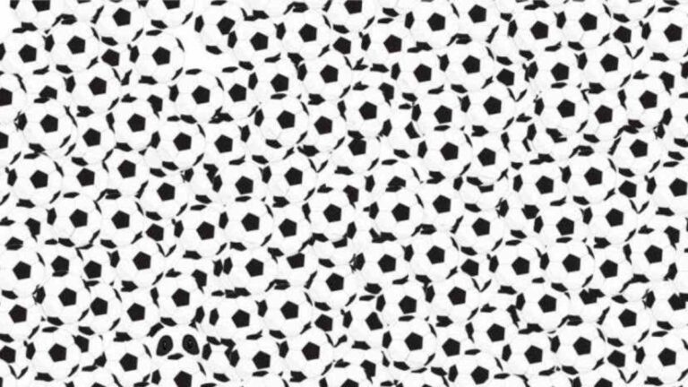 Picture Puzzle IQ Test: If You Have 20/20 Vision, You Will Spot The Panda In 5 Seconds!