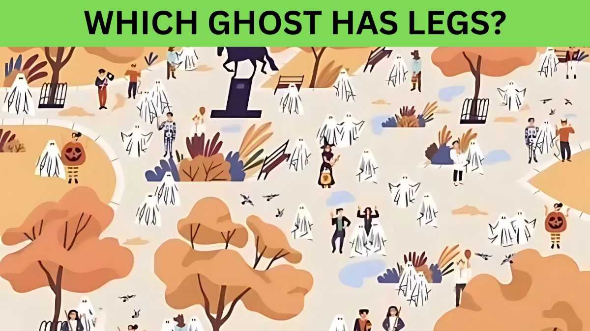 Picture Puzzle to Test Your IQ: Can You Find The Ghost With Legs In 5 Seconds?