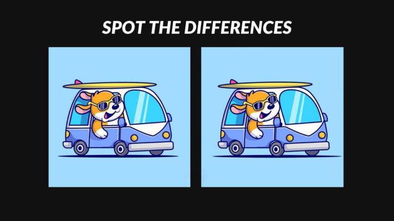 Spot 3 differences between the puppy driving van pictures in 19 seconds!