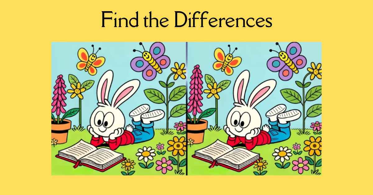 Spot the 3 Differences in Bunny Reading a Book– Beat the 17-Second Challenge!