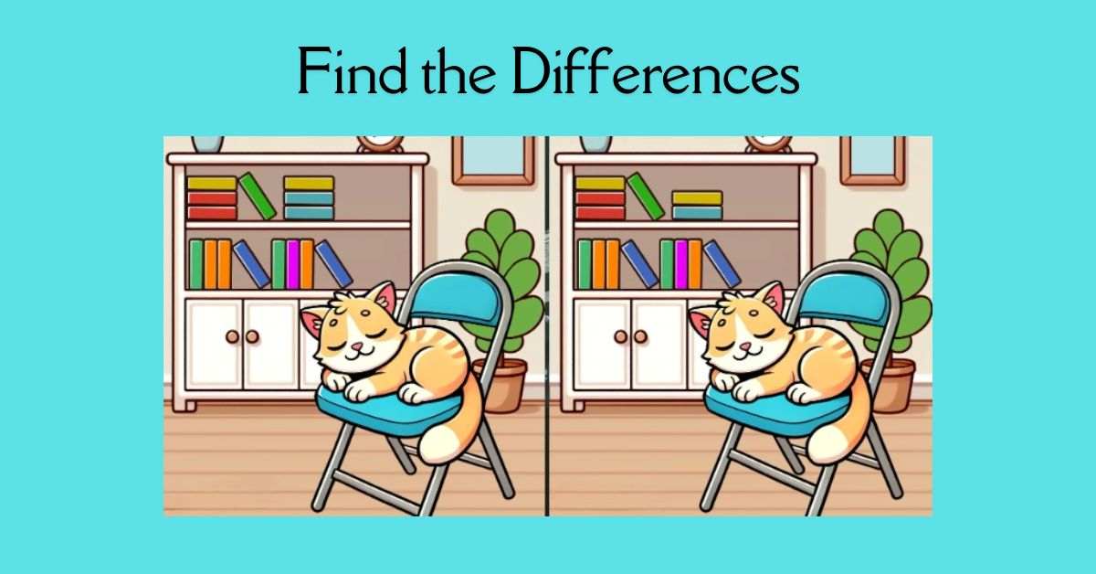 Spot the 3 Differences in Cat Sleeping on a Chair– Beat the 25-Second Challenge!