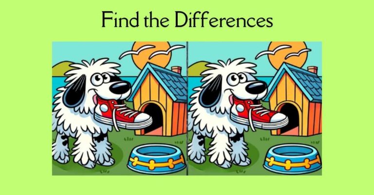 Spot the 3 Differences in Dog Playing With a Shoe– Beat the 21-Second Challenge!