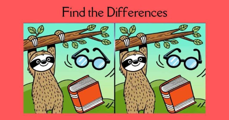 Spot the 3 Differences in Sloth Hanging From Tree– Beat the 19-Second Challenge!