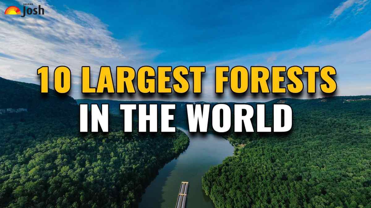 Top 10 Largest Forests in the World