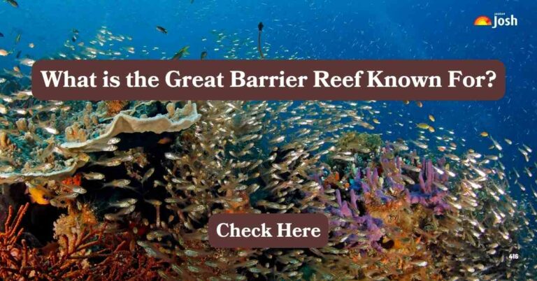 What is the Great Barrier Reef Known For, Check Here