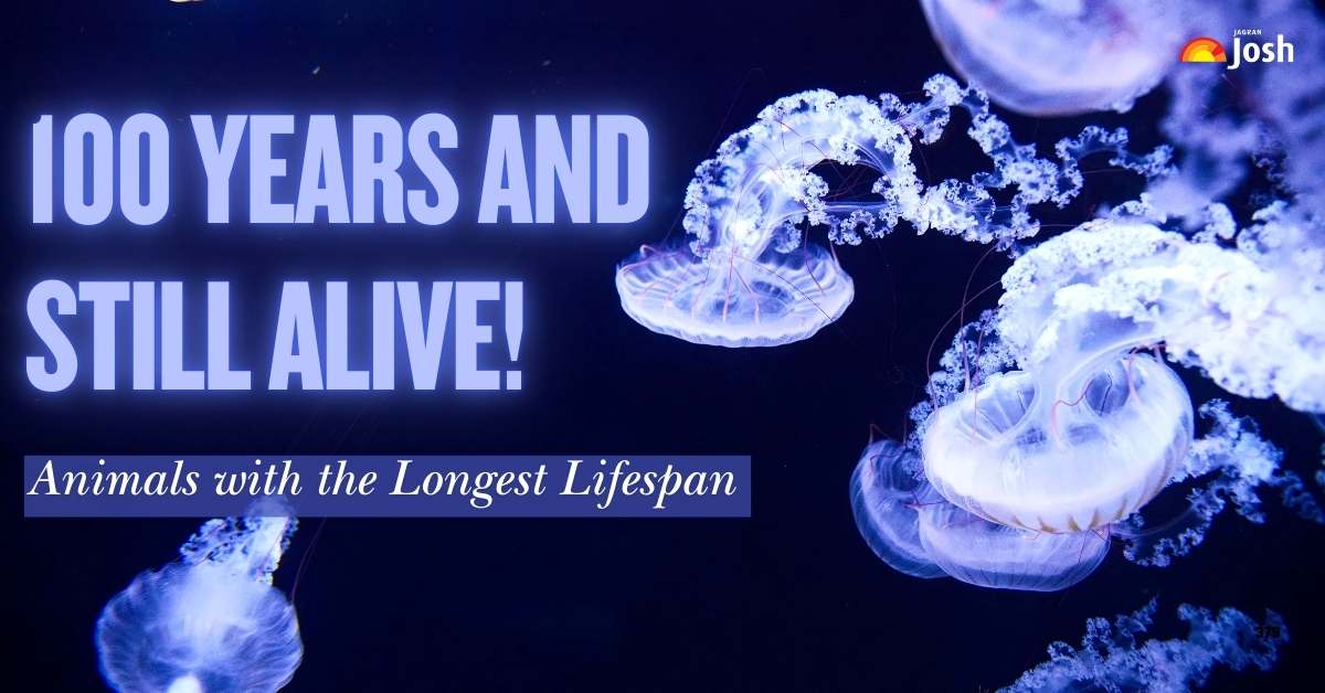 Which 5 Animals Live for 100 Years? The Longest-Living Animal on Earth Revealed