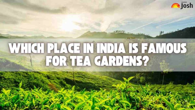 Which Place in India is Famous for Tea Gardens?