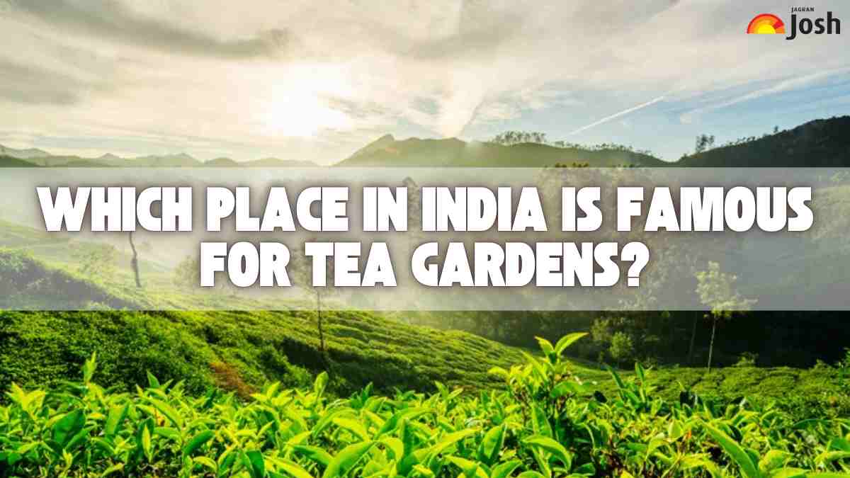 Which Place in India is Famous for Tea Gardens?