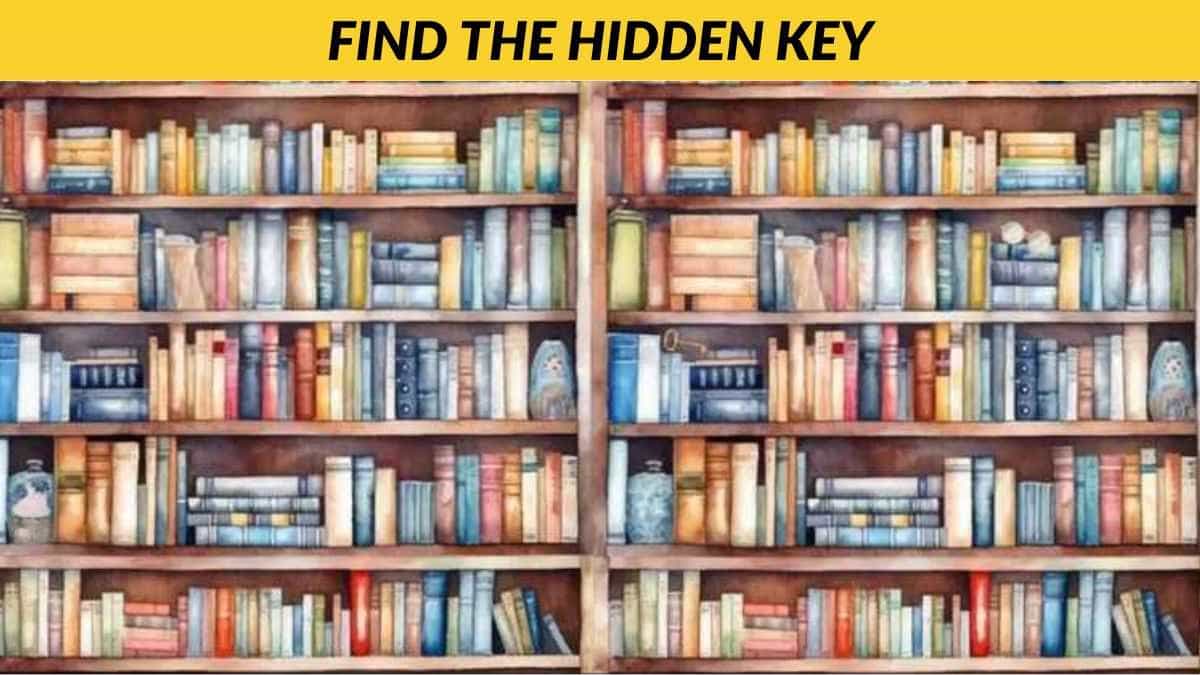 You have eagle eyes if you can spot the hidden key in the bookshelf in 7 seconds!