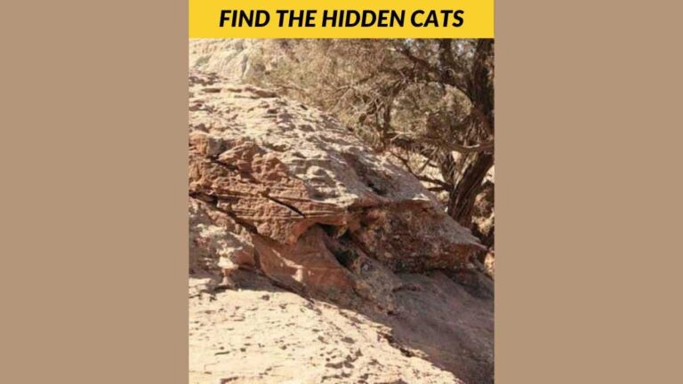 You have hawk-like eyes if you can spot the hidden cats in 7 seconds!