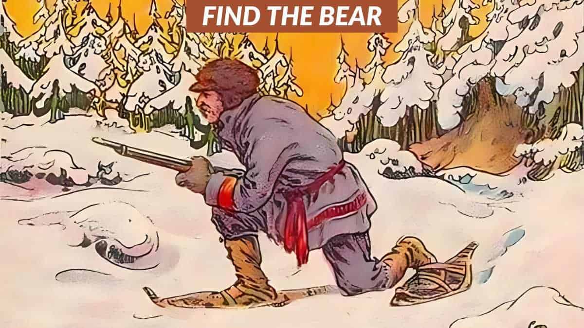 You have hunter eyes if you can spot the hidden bear in 6 seconds!