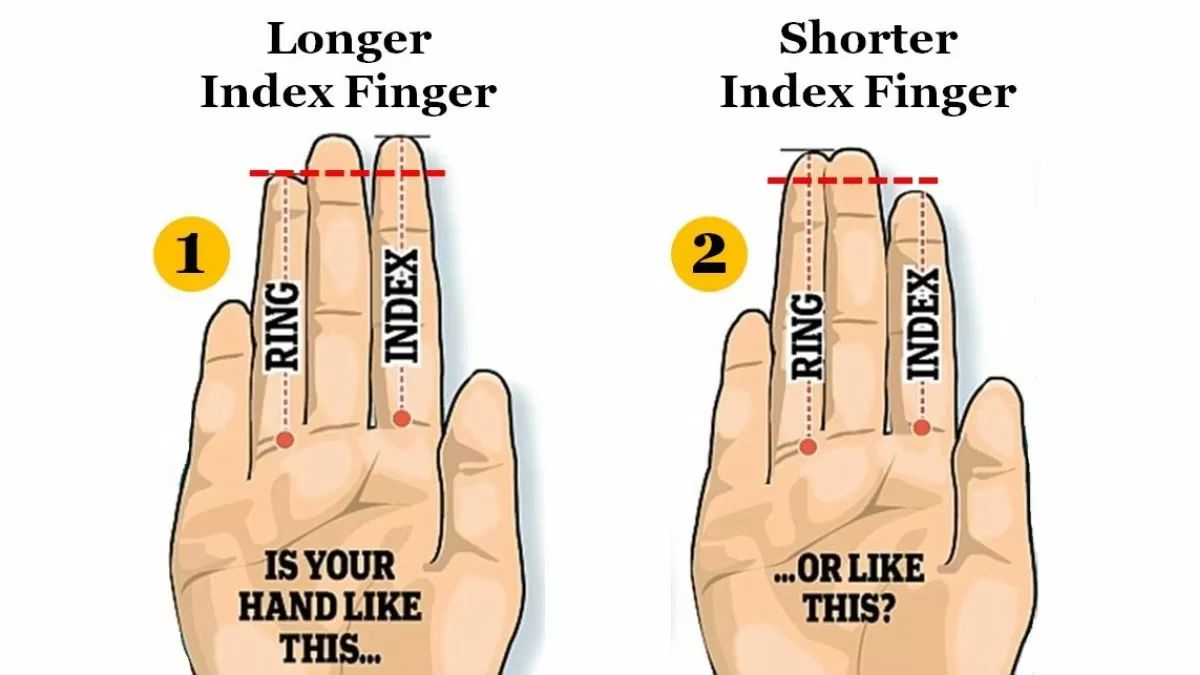 Your Finger Length Reveals Your Hidden Personality Traits