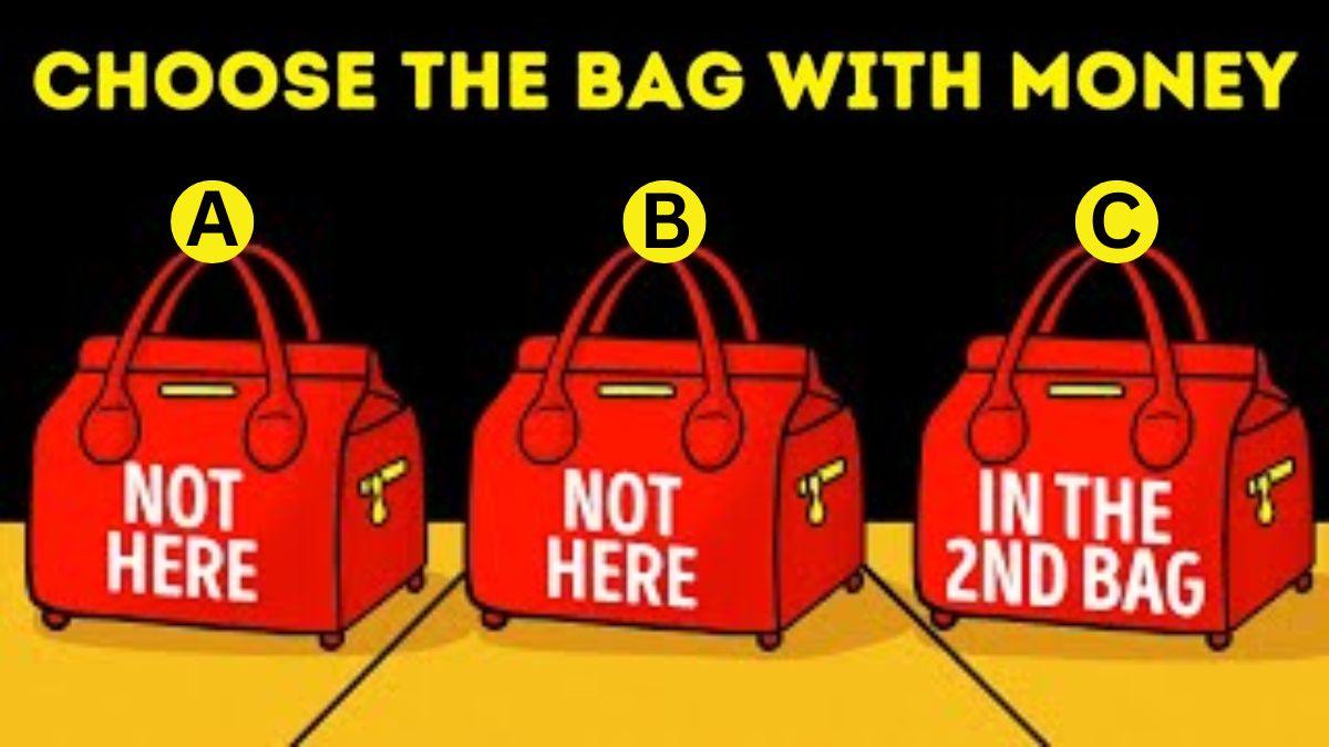 Brain Teaser Challenge: Spot Which Bag Has The Money? Only 1% Geniuses Pass This IQ Test In 5 Seconds!