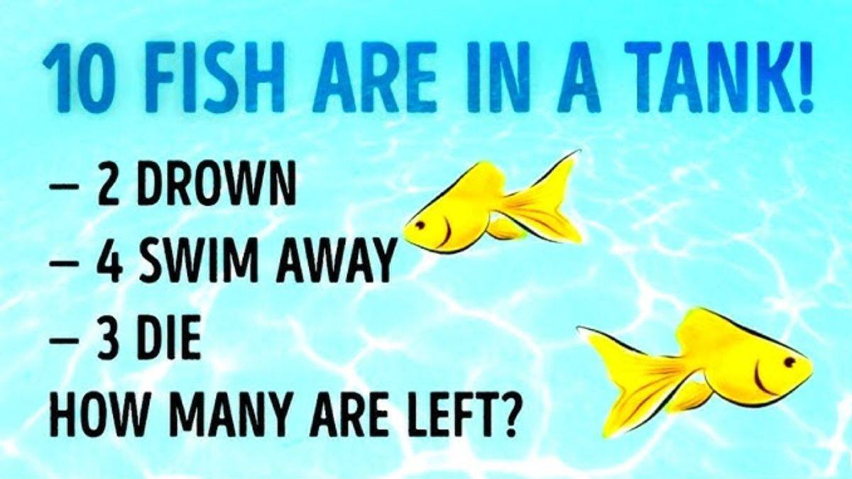 Brain Teaser for Geniuses: How Many Fish Are Left In The Tank? Test Your IQ In 5 Seconds!