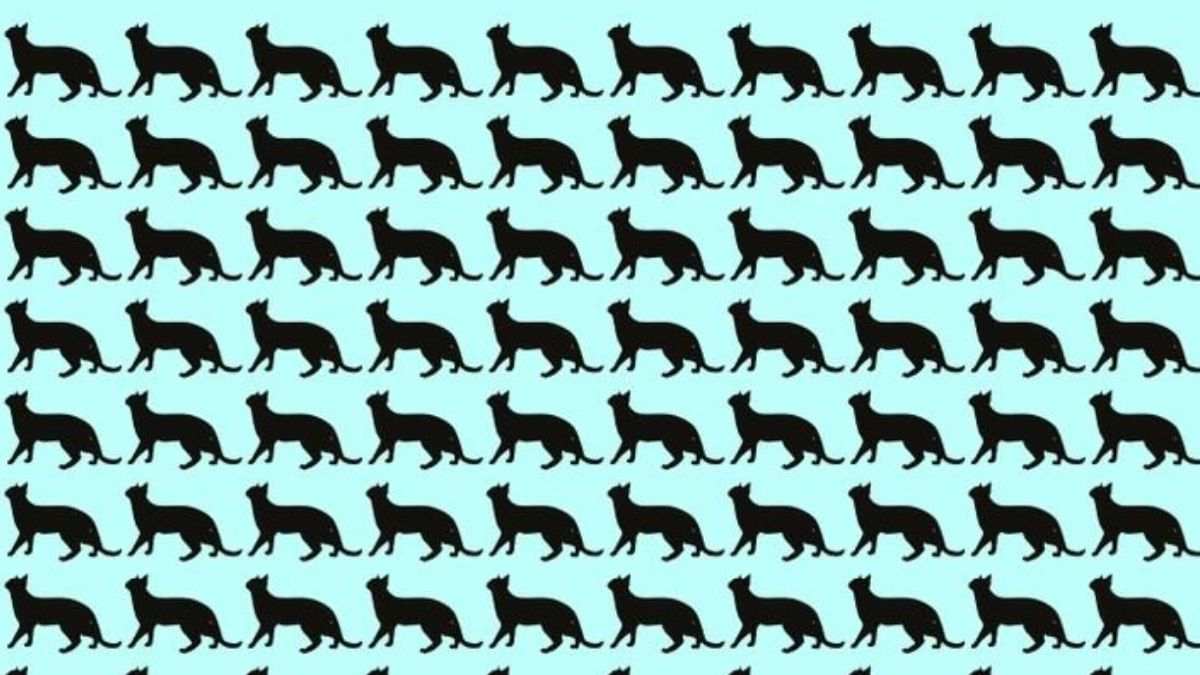 Can You Spot The Different Cat? This Brain Teaser Will Test Your IQ In 5 Seconds!