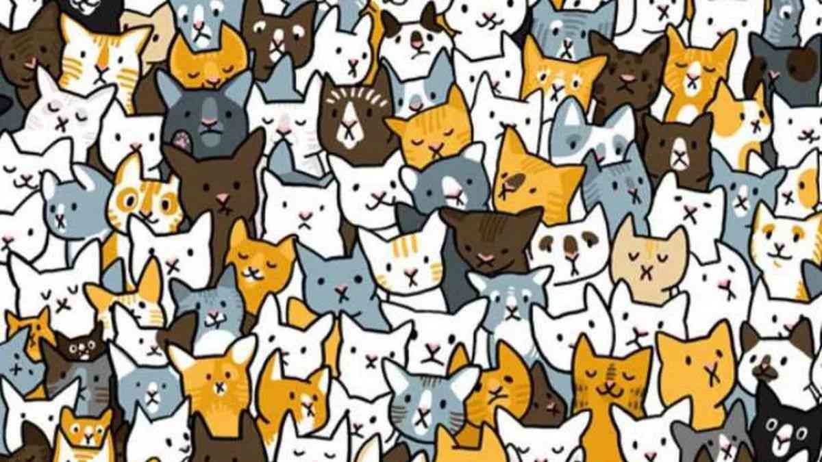 Only Geniuses Can Spot The Bunny Hidden Among Cats In This Optical Illusion In 5 Seconds!