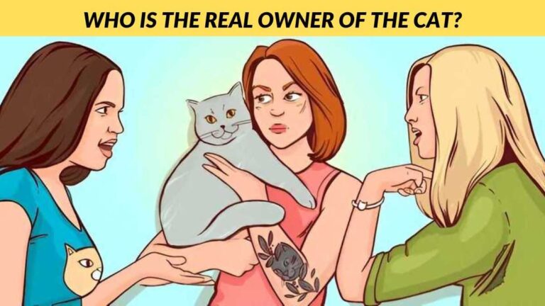 Only genius minds can find out the cat’s real owner in 5 seconds!