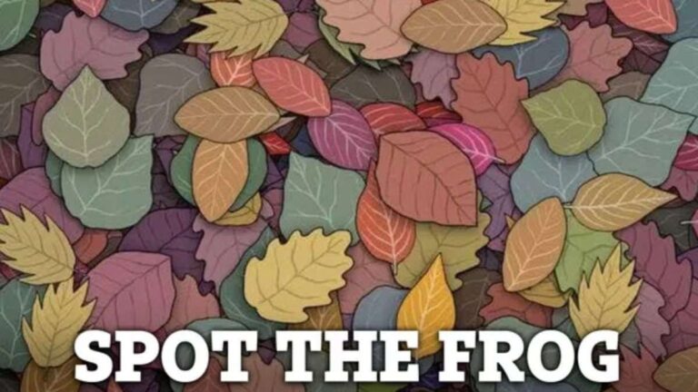 Optical Illusion IQ Test: Can Your Sharp Eyes Spot The Frog Hidden Among Leaves In 5 Seconds?