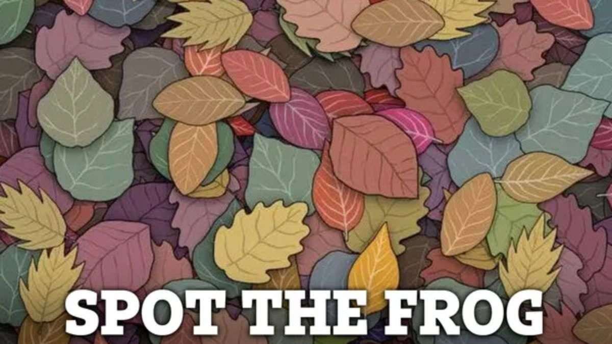 Optical Illusion IQ Test: Can Your Sharp Eyes Spot The Frog Hidden Among Leaves In 5 Seconds?