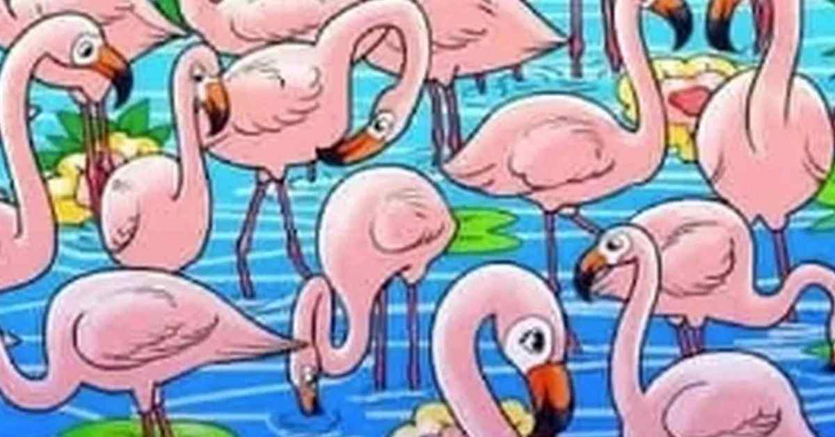 Optical Illusion: Test Your Eyes! Spot the Hidden Woman and Prove You’re a Visual Genius