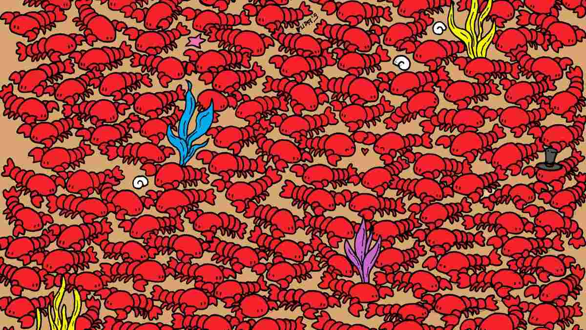 Picture Puzzle IQ Test: Can You Spot 4 Crabs Hidden Among Lobsters In 5 Seconds?