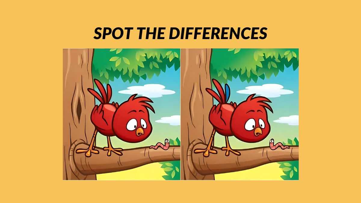 Spot 5 differences between the bird pictures in 21 seconds!