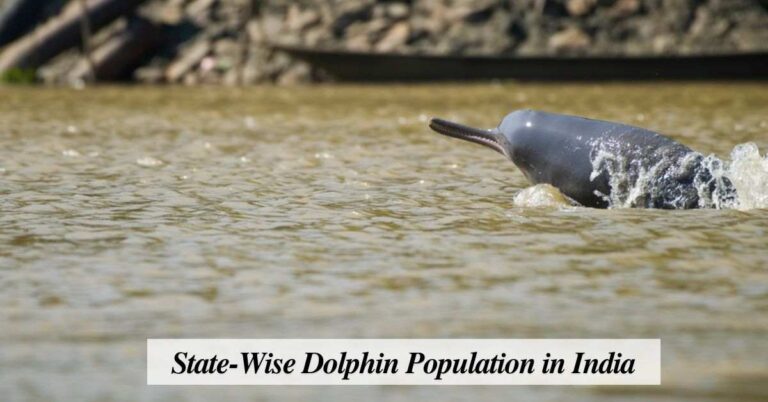 State-Wise Dolphin Population in India: A Detailed Overview