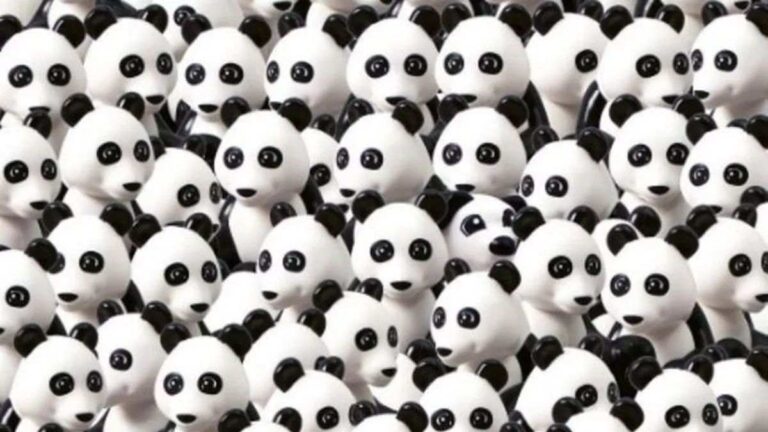 Think You Have Sharp Eyes? There’s A Dog Hiding Among Pandas! Can You Spot It In 5 Seconds?