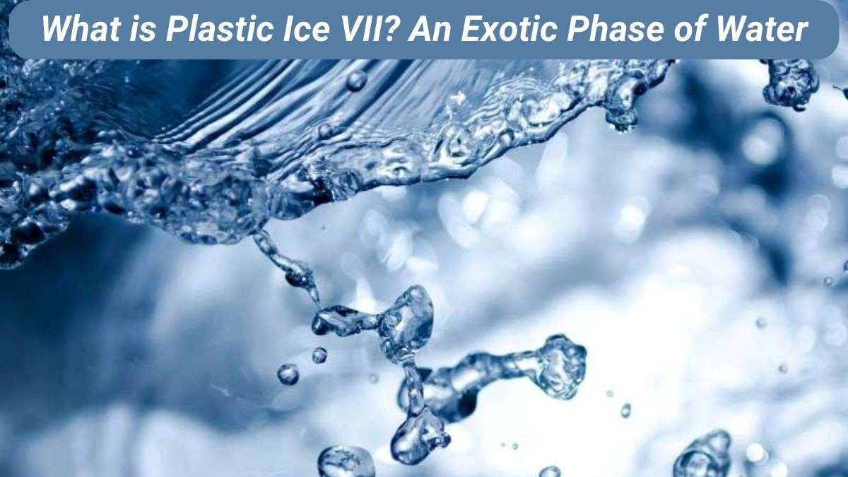 What is Plastic Ice VII? An Exotic Phase of Water