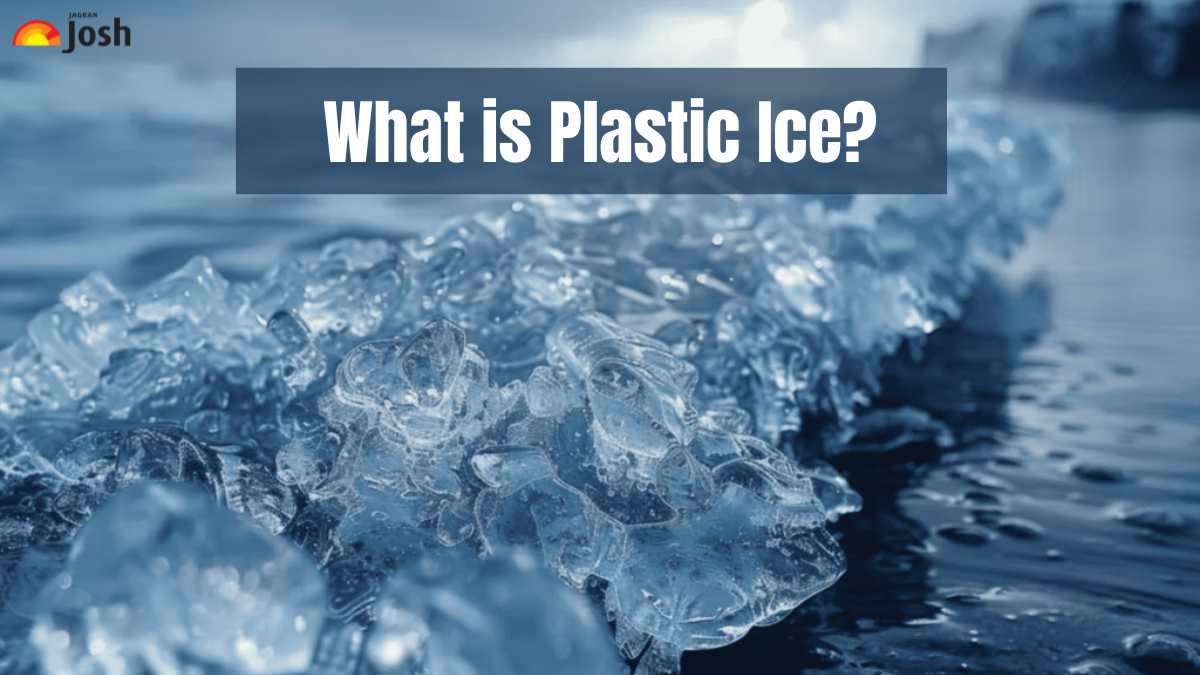 What is Plastic Ice? Why is it Called Plastic Ice? Know Here!