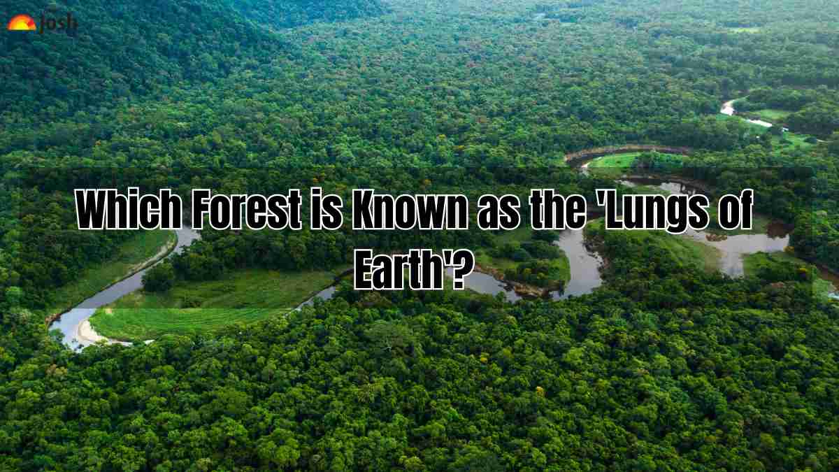 Which Forest is Known as the ‘Lungs of Earth’?