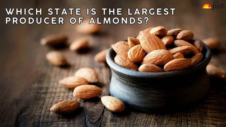 Which State is the Largest Producer of Almonds?