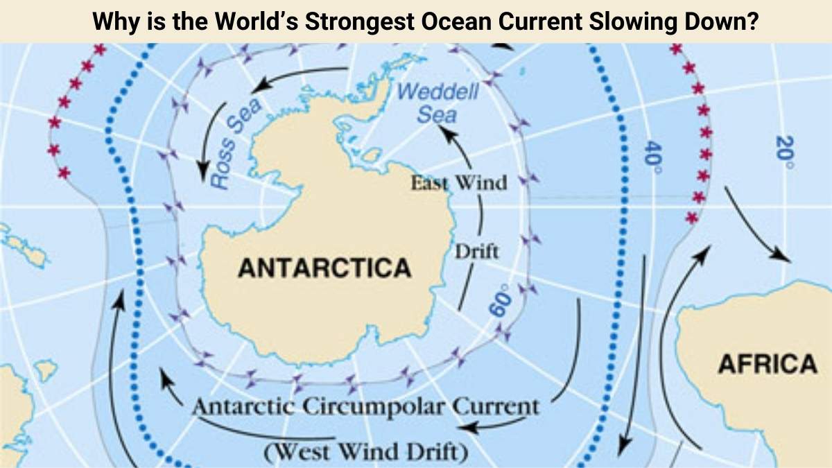 Why is the World’s Strongest Ocean Current Slowing Down?