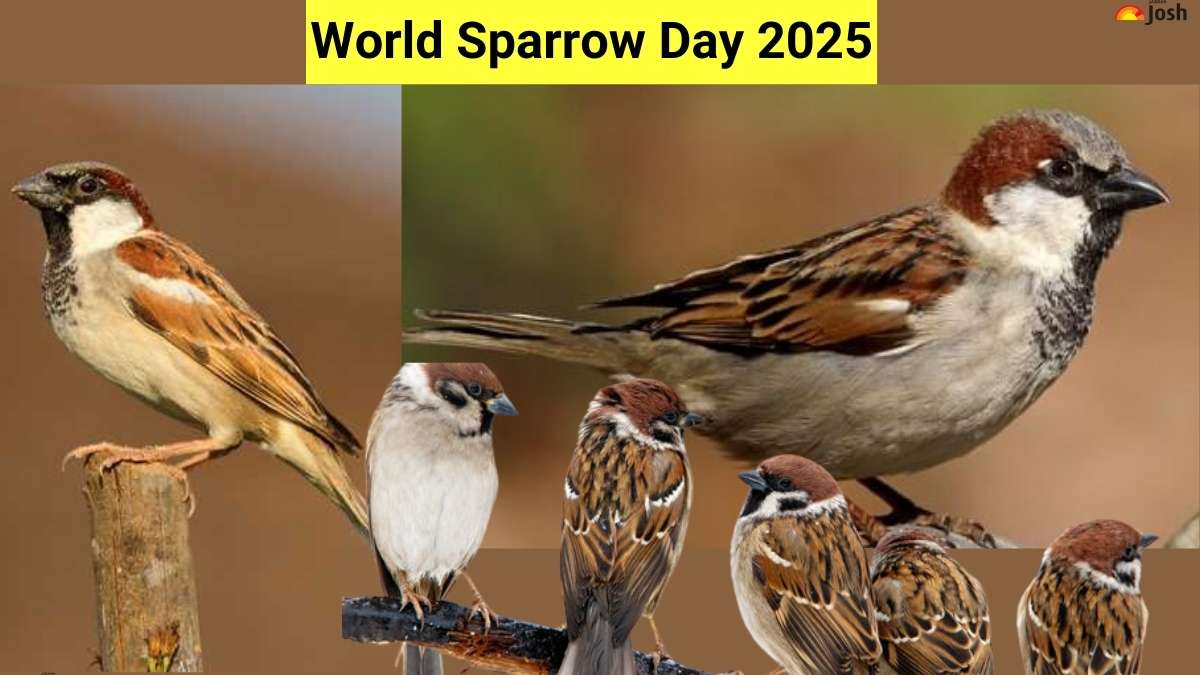 World Sparrow Day 2025: Theme, Origin, Significance and Ecological Importance