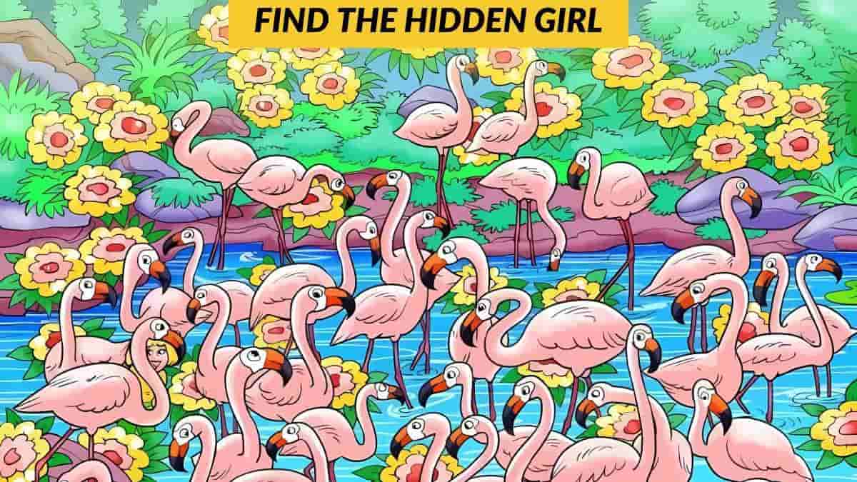 You have a high IQ and sharp eyes if you can spot the hidden girl in 9 seconds!