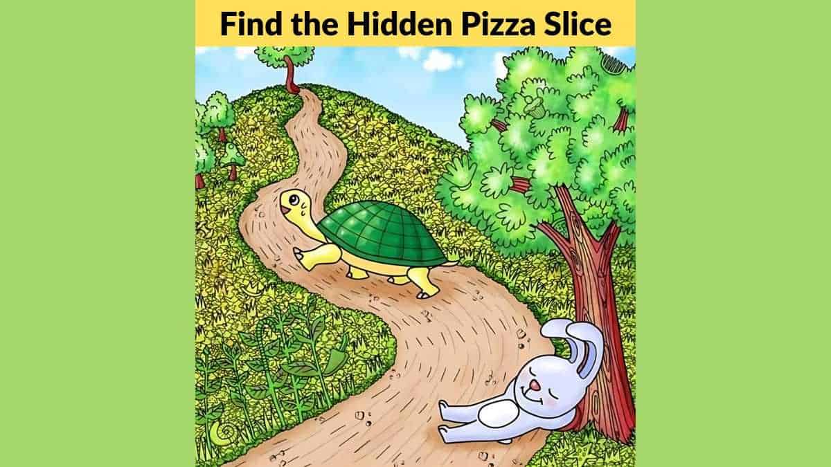 You have the eyes of a sniper if you can spot the hidden pizza slice in 8 seconds!