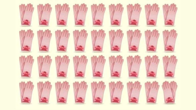 Brain Teaser IQ Test: Only the sharpest eyes can spot the odd pair of gloves in 5 seconds!