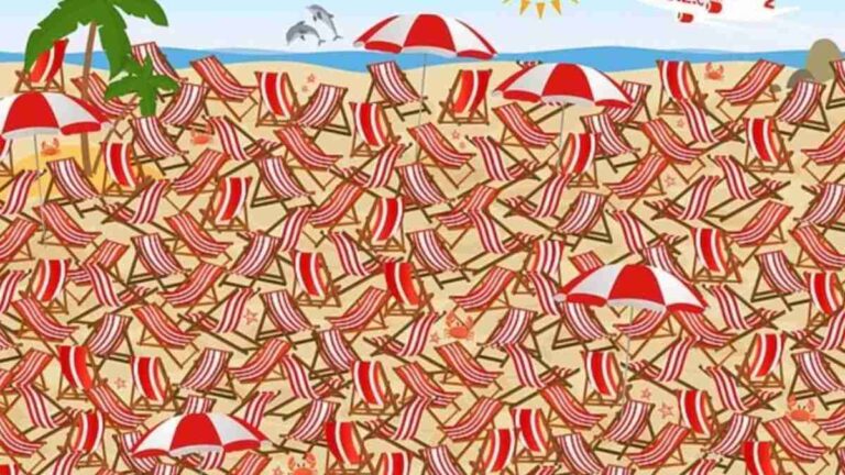 Optical Illusion IQ Test: Only People With 4K Visual Power Can Spot The Skis In 5 Seconds!