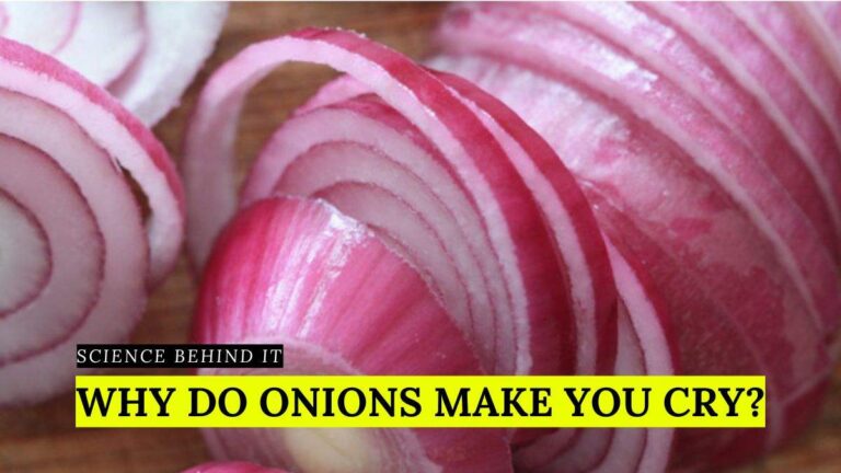Science Behind It: Why Do You Cry When Cutting Onions?