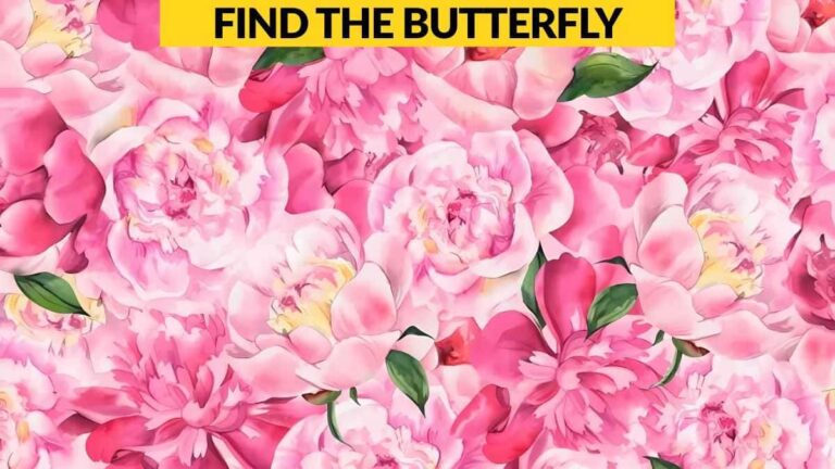 Visual Illusion: Find the hidden butterfly in 7 seconds!