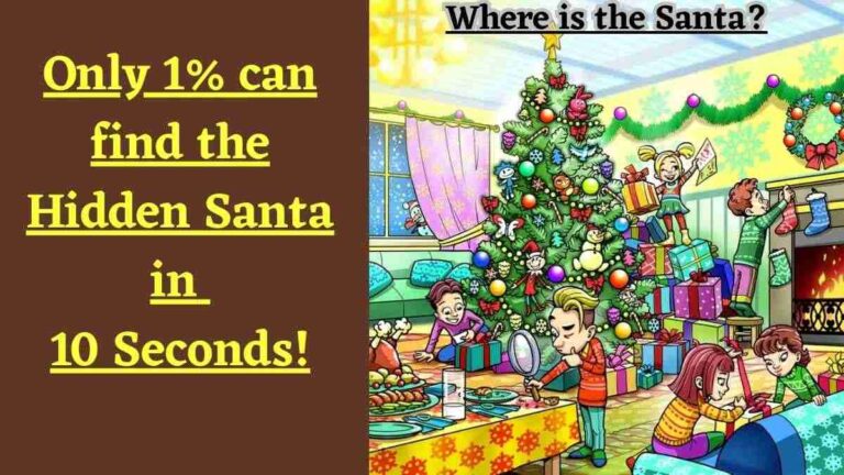 Visual Illusion: Only 1% can find the Santa in just 10 seconds!