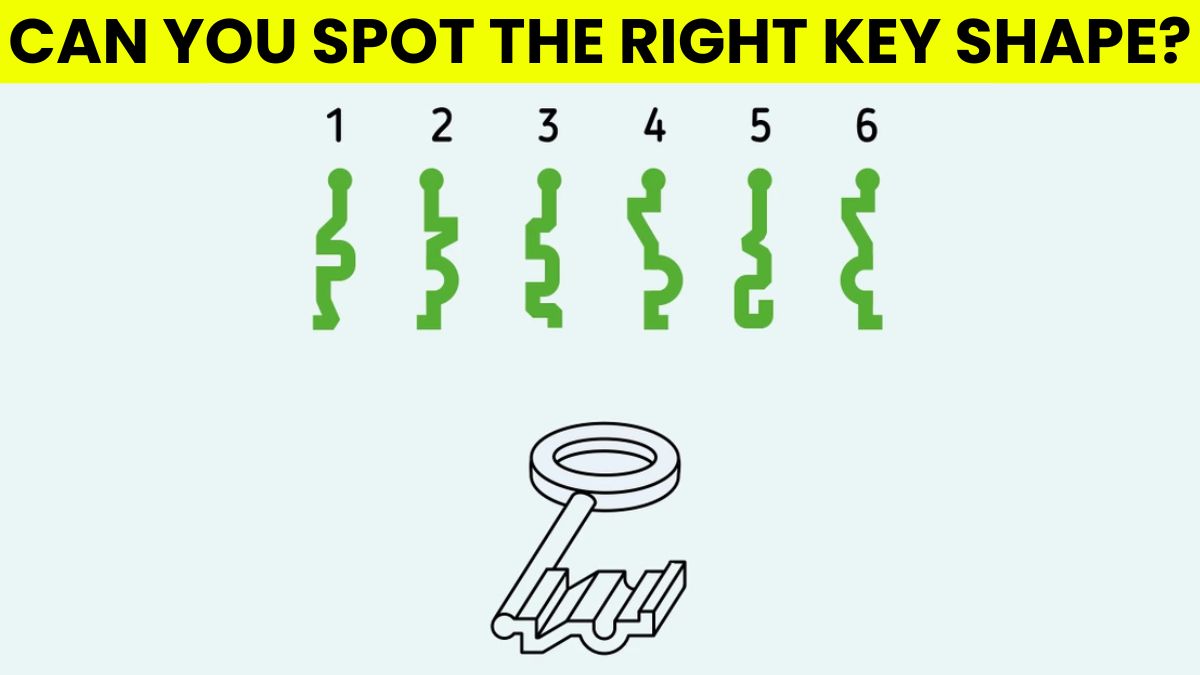 Brain Teaser: Can You Spot The Correct Key Shape? Only 1% Pass This IQ Test In 5 Seconds!