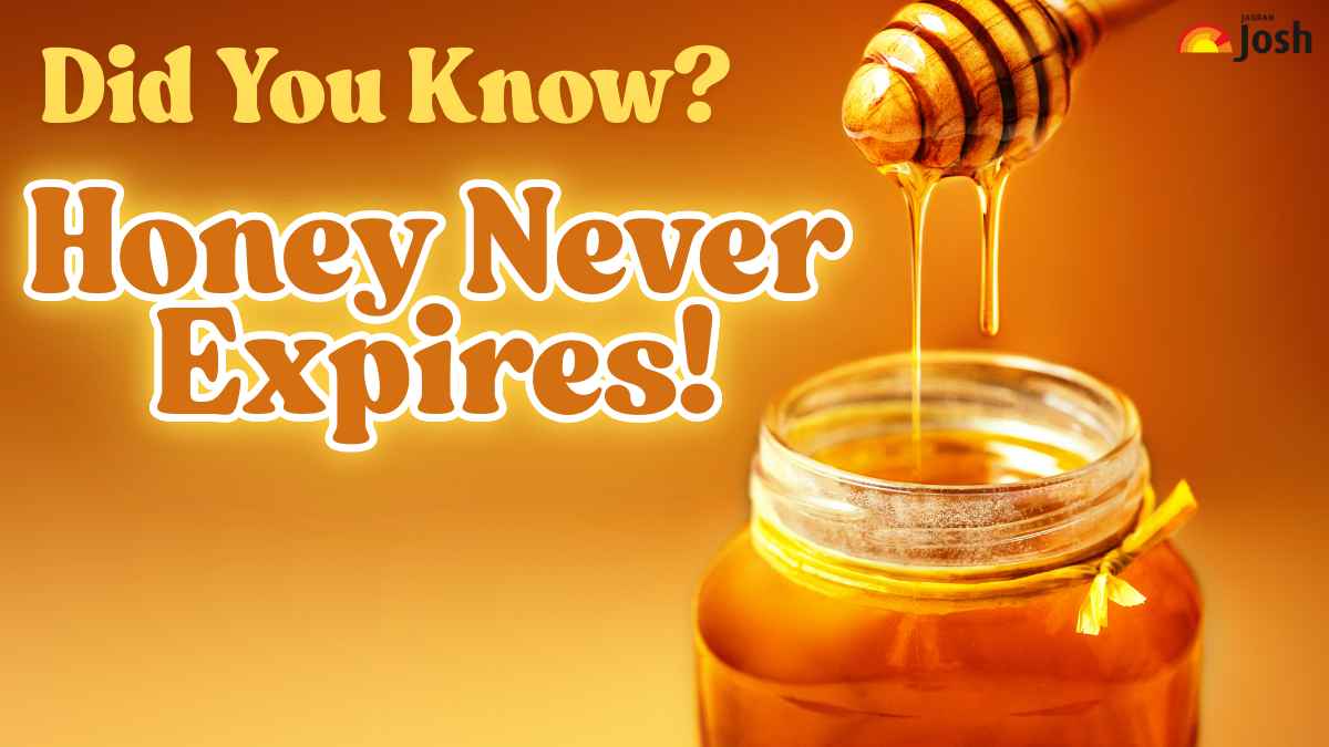 Did You Know? Honey Never Expires! Know the Reason Here