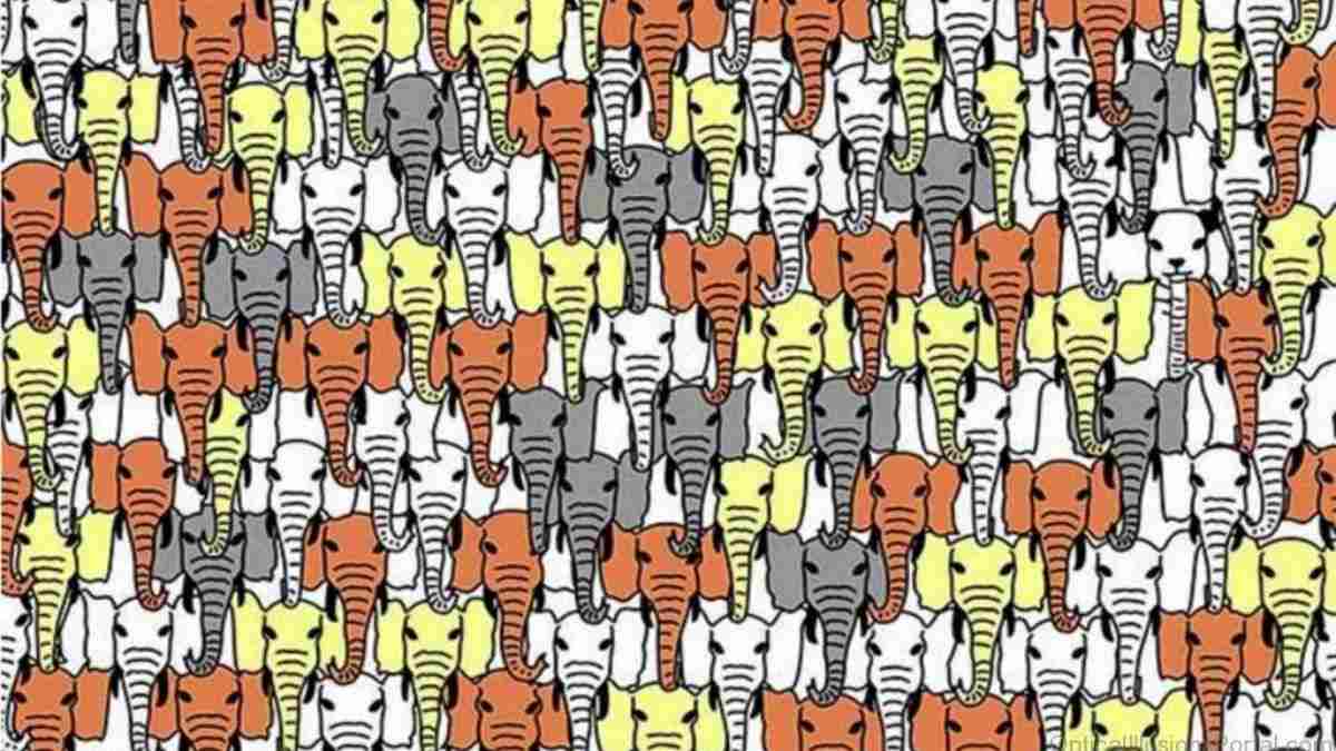 Optical Illusion IQ Test: If You Can Spot The Panda In 5 Seconds, You Have Top-Tier Vision!