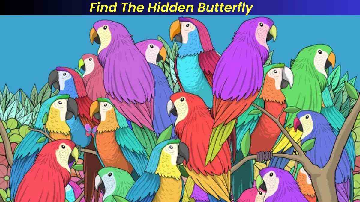 Optical Illusion: You Have Sharp Vision If You Can Spot The Hidden Butterfly In Just 9 Seconds!