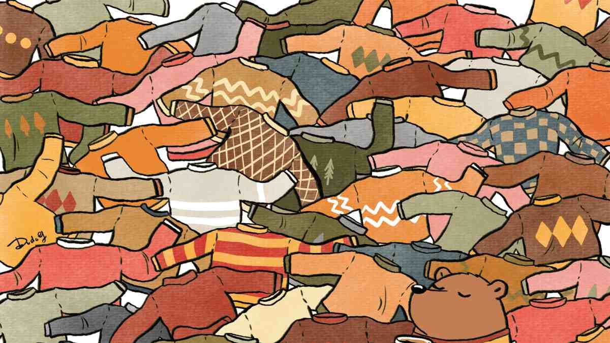 Picture Puzzle IQ Test: Only 2% With Sharpest Vision Can Spot 3 Socks Hidden Among Sweaters In 5 Seconds!