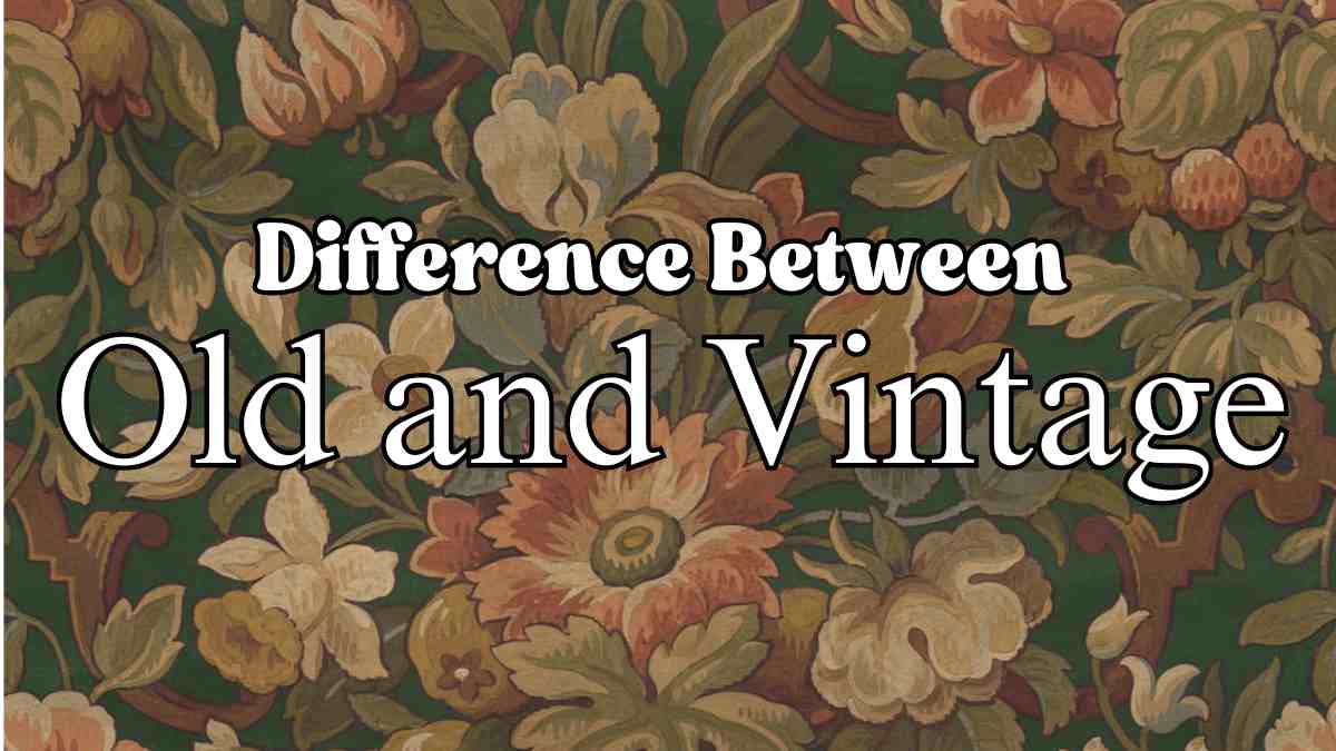 What is the Difference Between Old and Vintage?